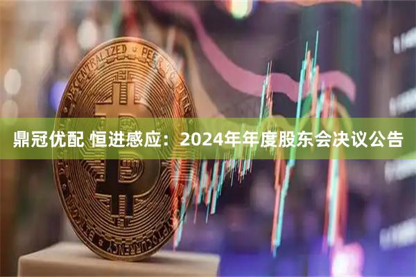 鼎冠优配 恒进感应：2024年年度股东会决议公告