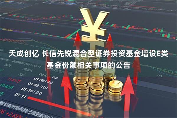 天成创亿 长信先锐混合型证券投资基金增设E类基金份额相关事项的公告