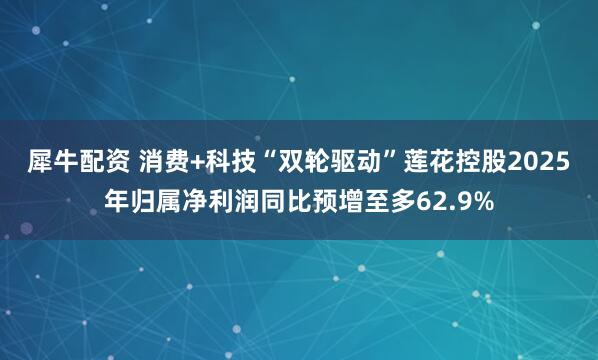 犀牛配资 消费+科技“双轮驱动”莲花控股2025年归属净利润同比预增至多62.9%