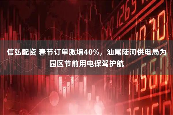 信弘配资 春节订单激增40%，汕尾陆河供电局为园区节前用电保驾护航