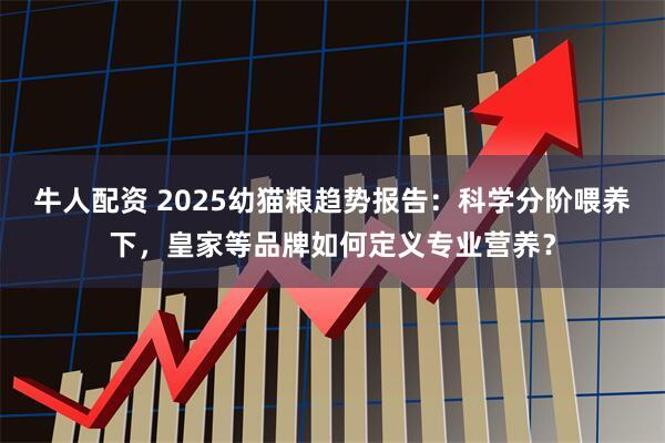 牛人配资 2025幼猫粮趋势报告：科学分阶喂养下，皇家等品牌如何定义专业营养？