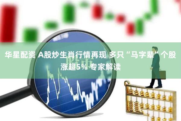 华星配资 A股炒生肖行情再现 多只“马字辈”个股涨超5% 专家解读